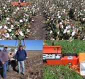 EMI technologies on cotton farms – Collaborative research between DRNM and Black Earth