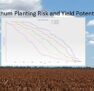 Sorghum Planting Risk and Yield Potential using APSIM